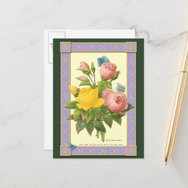 Pink and Yellow Botanical Roses Blank Postcard (Front/Back In Situ)