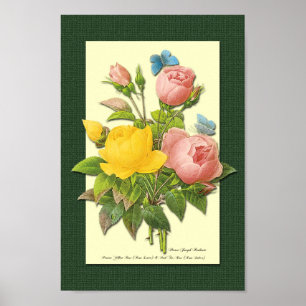 Pink and Yellow Botanical Roses on Green Poster
