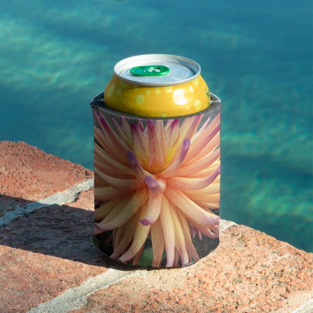 Pink and Yellow Cactus Dahlia Floral Can Cooler (In Situ Pool)
