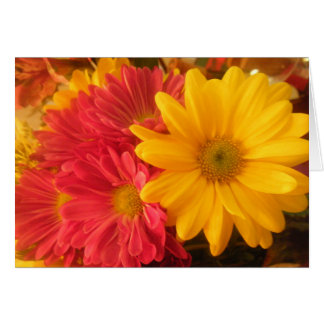 Pink and Yellow Daisies Customizable
