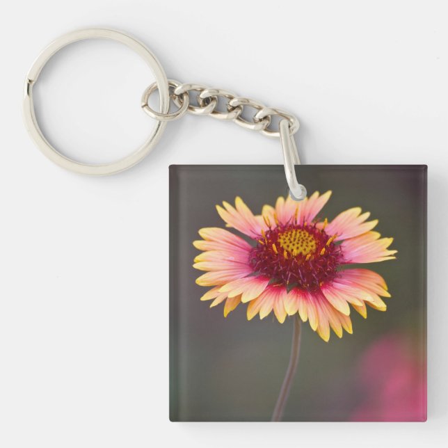 Pink and Yellow Desert Daisy Keychain (Front)