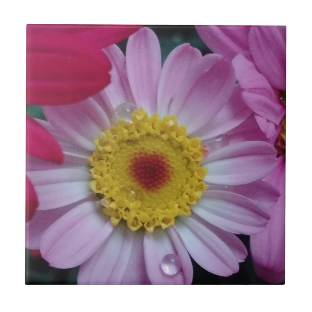 Pink and yellow flower tile (Front)