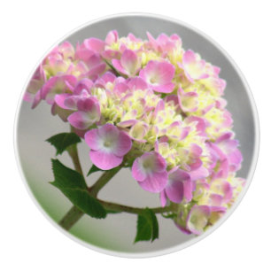 PINK AND YELLOW HYDRANGEA/DECORATIVE CERAMIC KNOB