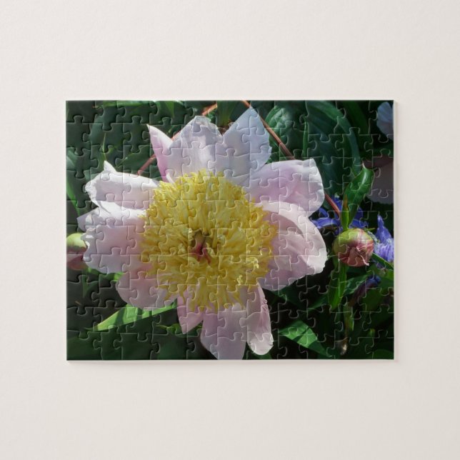 Pink and Yellow Peonies Beautiful Floral Jigsaw Puzzle (Horizontal)