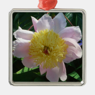Pink and Yellow Peonies Beautiful Floral Metal Ornament