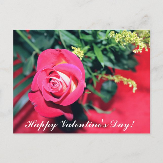 PINK AND YELLOW ROSE VALENTINES DAY POSTCARD (Front)