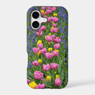 Pink and yellow spring tulips