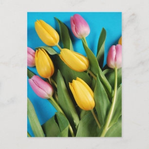 Pink and yellow spring tulips postcard