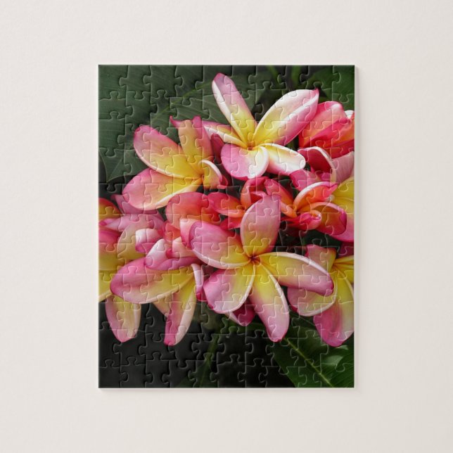 Pink and Yellow Tropical Plumeria Flowers Jigsaw Puzzle (Vertical)