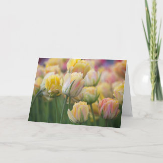 Pink and Yellow Tulips Card
