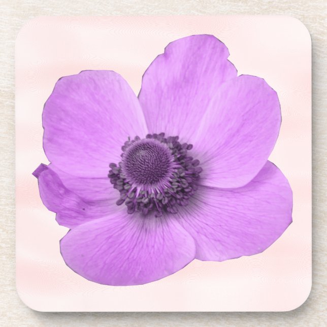 Pink Anemone Cork Coaster (Front)