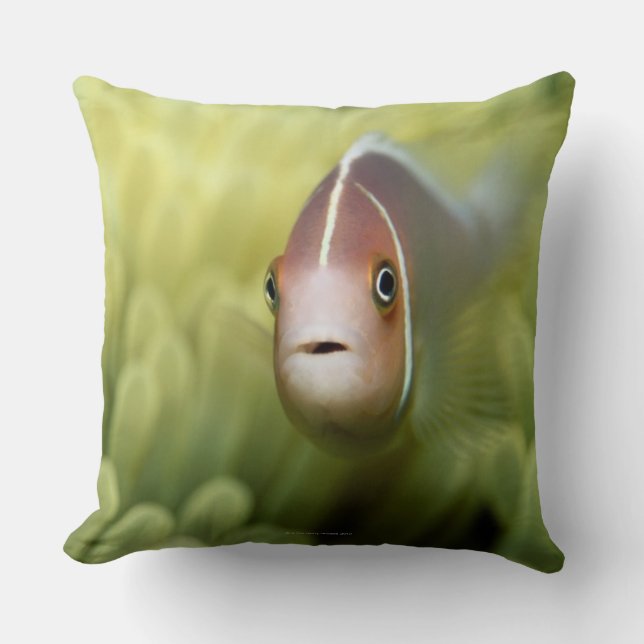 Pink Anemone Fish Throw Pillow (Front)