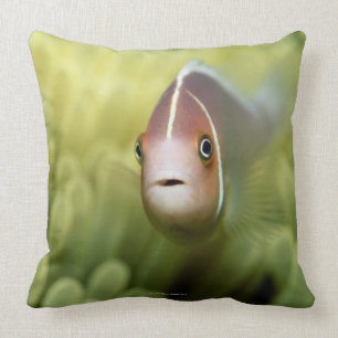 Pink Anemone Fish Throw Pillow