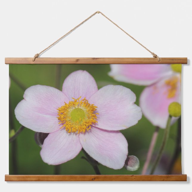 Pink Anemone Hanging Tapestry (Front)