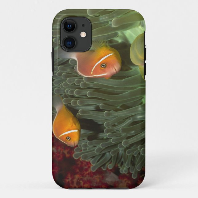 Pink Anemonefish in Magnificant Sea Anemone Case-Mate iPhone Case (Back)