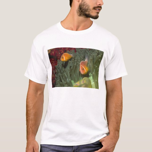 Pink Anemonefish in Magnificant Sea Anemone T-Shirt (Front)
