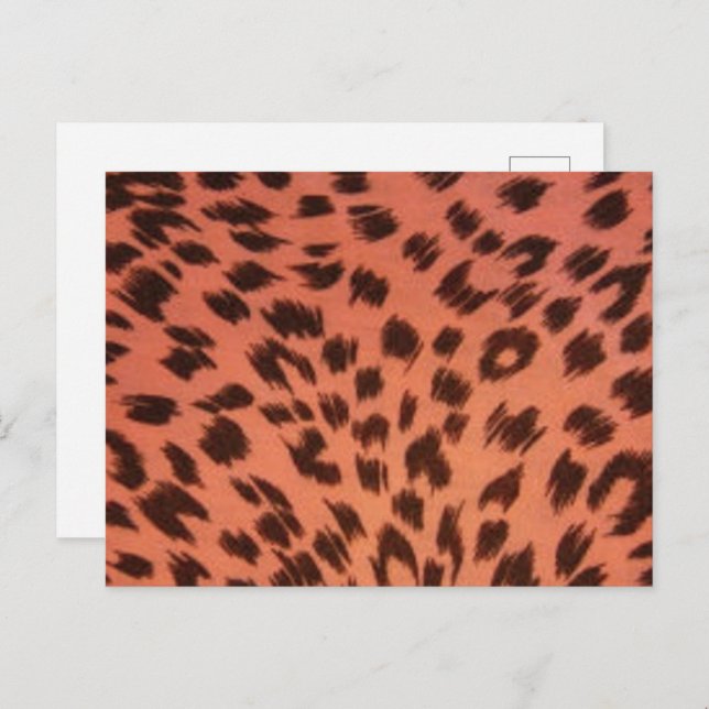 PINK ANIMAL PRINT POSTCARD (Front/Back)