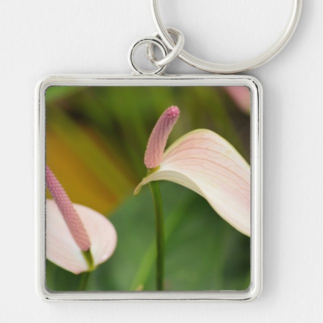 Pink Anthurium Flowers Kauai Hawaii Keychain (Front)