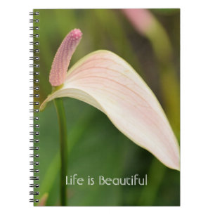 Pink Anthurium Flowers Kauai Notebook