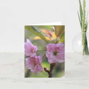 Pink Apple Bloom In Spring Photo for Mom  Holiday Card