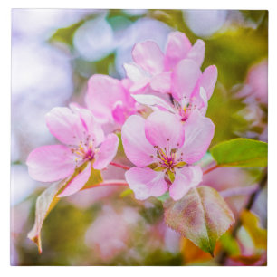 Pink Apple Blossom Tile