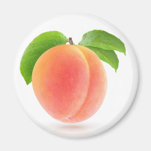 Pink apricot magnet