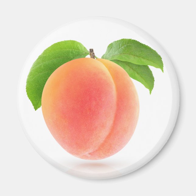Pink apricot magnet (Front)