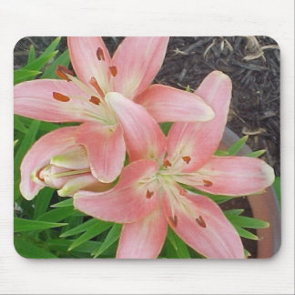 Pink Asiatic Lilies Mouse Pad