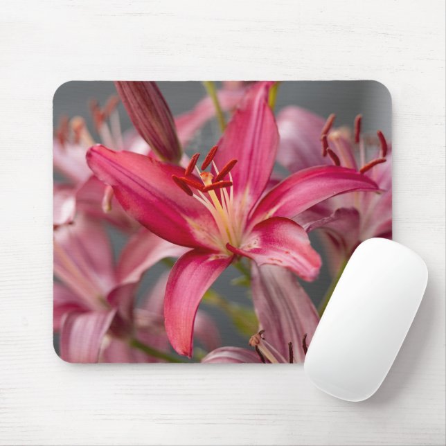 Pink Asiatic Lily, Botanical Flower Photo Mouse Pad (With Mouse)