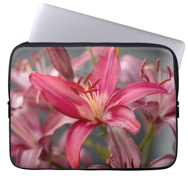 Pink Asiatic Lily, Vibrant Flower Photo Laptop Sleeve (Front)