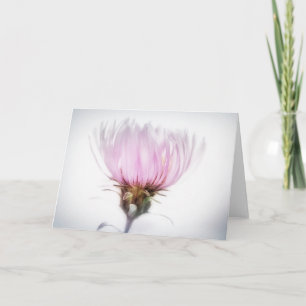 Pink Aster Flower Card