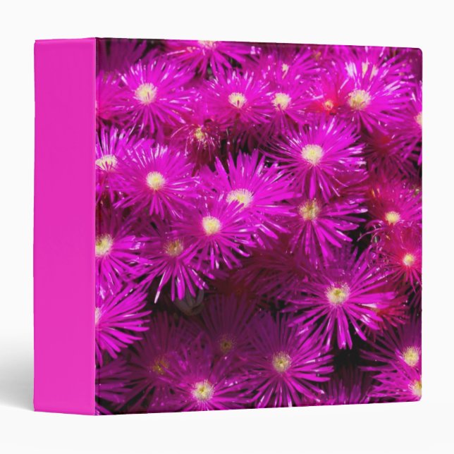 Pink Aster Flowers Binder (Front/Spine)