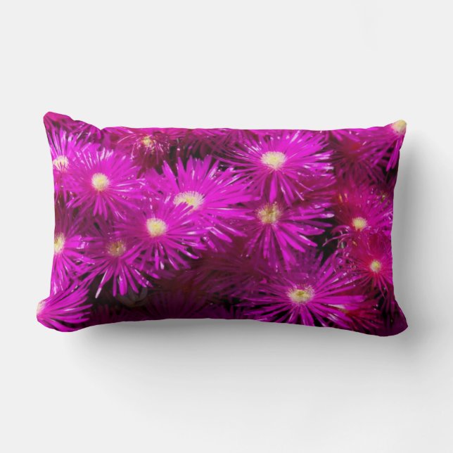 Pink Aster Flowers Lumbar Pillow (Front)