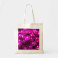 Pink Aster Flowers