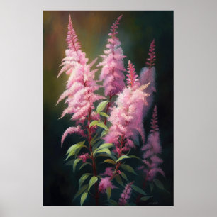 Pink Astilbe Flower Art Print Poster