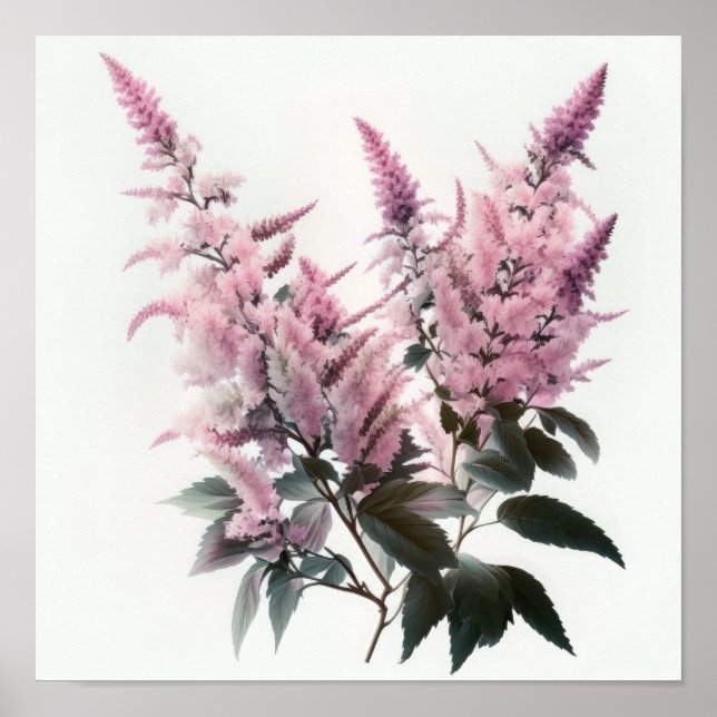 Pink Astilbe Flower Art Print Poster (Front)