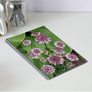 Pink Astrantia Blooms Floral Notebook