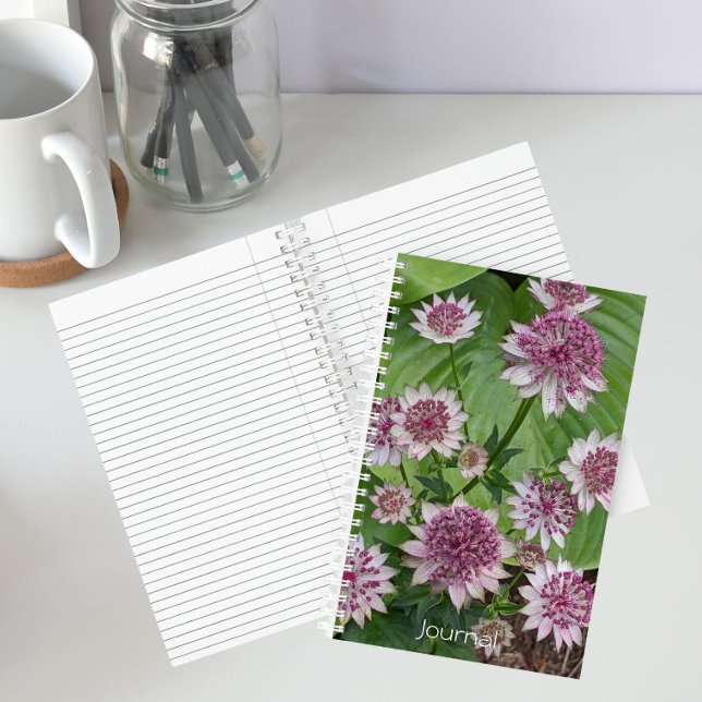 Pink Astrantia Blooms Floral Notebook (In Situ)