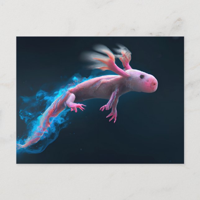 Pink Axolotl Postcard (Front)