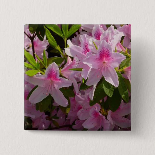 Pink Azalea Bush Spring Floral 2 Inch Square Button (Front)