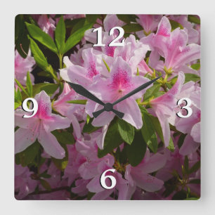 Pink Azalea Bush Spring Floral Square Wall Clock