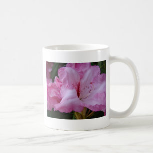PINK AZALEA FLOWERS 29 Azaleas Cards Gifts Mugs