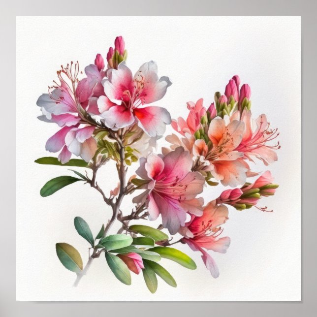 Pink Azalea Flowers Art Imprimer Poster (Devant)