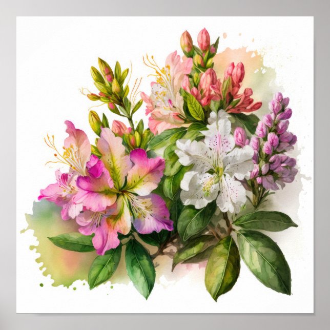 Pink Azalea Flowers Art Print Poster (Front)