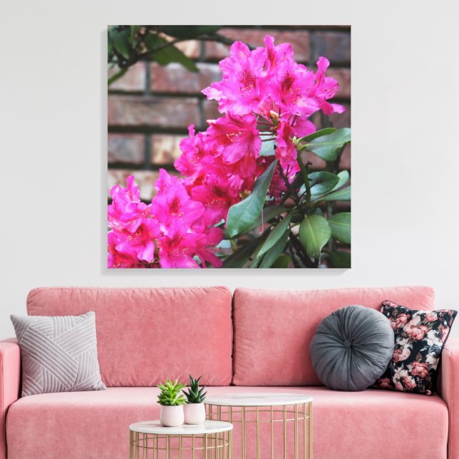 Pink Azalea Flowers Canvas (Insitu(LivingRoom))