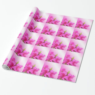 Pink azalea flowers holiday, birthday, Christmas, Wrapping Paper