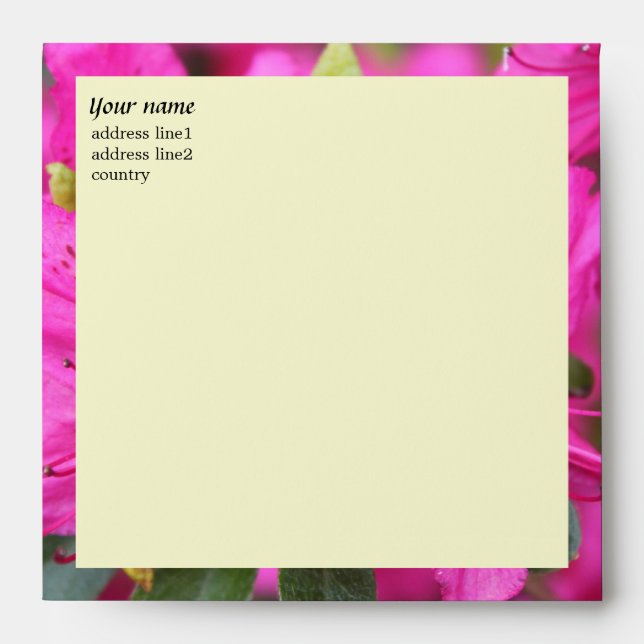 pink azalea flowers pink floral envelops envelope (Front)