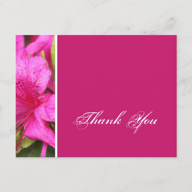 Pink azalea flowers thank you postcards (Front)