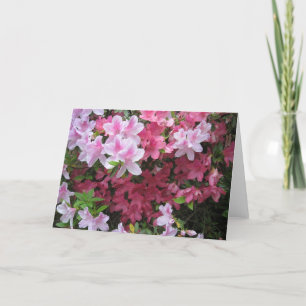 Pink Azalea NoteCard