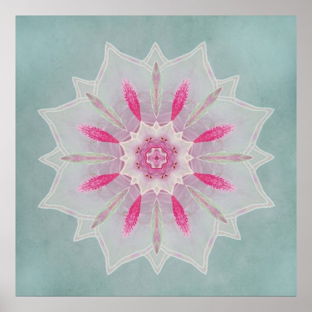 Pink Azalea Veil Lotus Poster (Front)